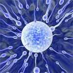 5 интересных фактов о мужской сперме