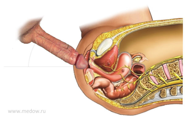 Как правильно вводить член во влагалище