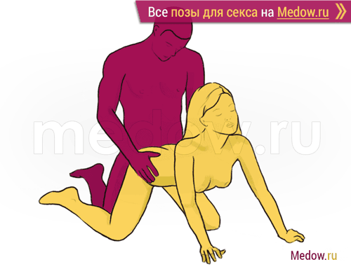 Поза для секса #140 - Штурман(догги стайл, мужчина сзади, на коленях). Камасутра Фото, картинки
