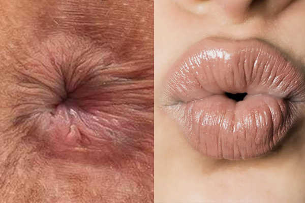 Анус и губы очень похожи. Сходство анального сфинктера и губ